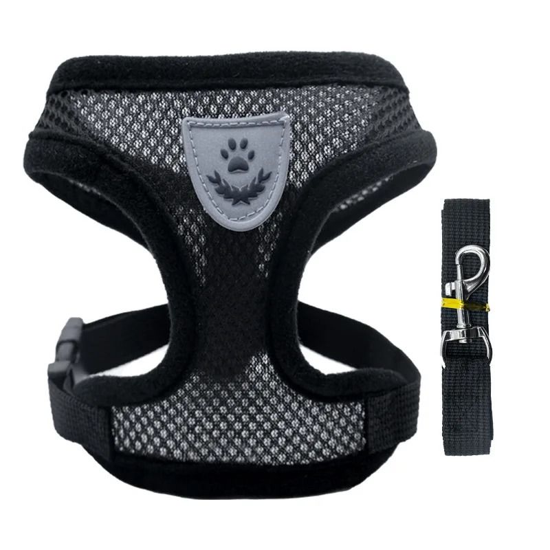 Breathable Summer Dog Harness Vest with Leash for Small Dogs and Cats
