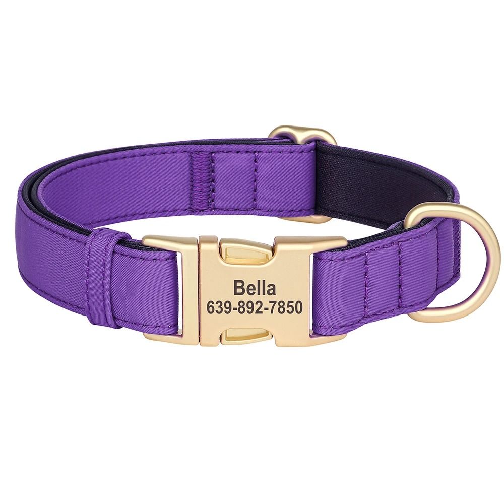 Personalized Waterproof Dog Collar with Soft Padding and Free Engraving for Small Medium and Large Dogs