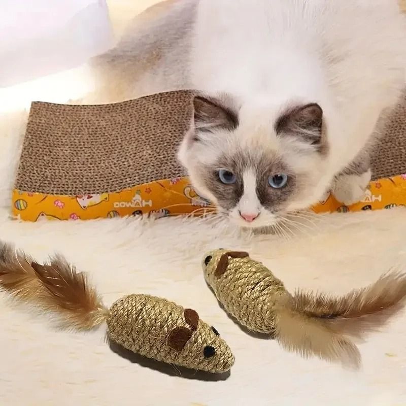 2 Pack Interactive Cat Toys Bite Resistant Mouse Toys with Feather Tail for Cats and Kittens