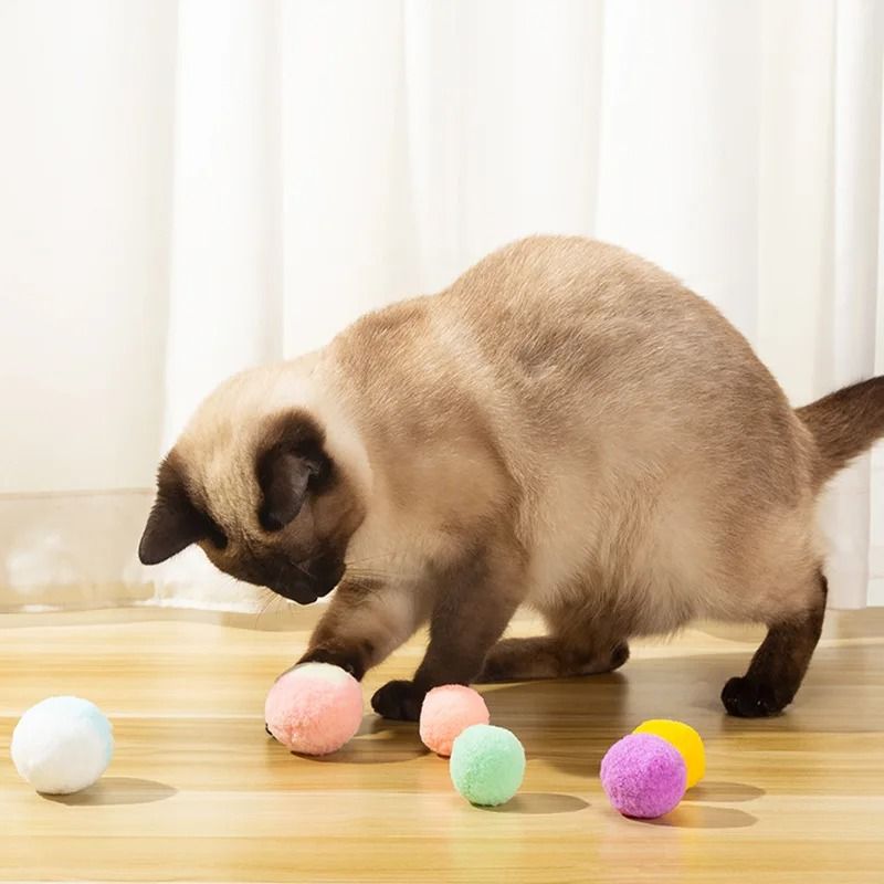 Ten Piece Colorful Plush Pom Pom Cat Toy Balls For Chewing Chasing And Interactive Play