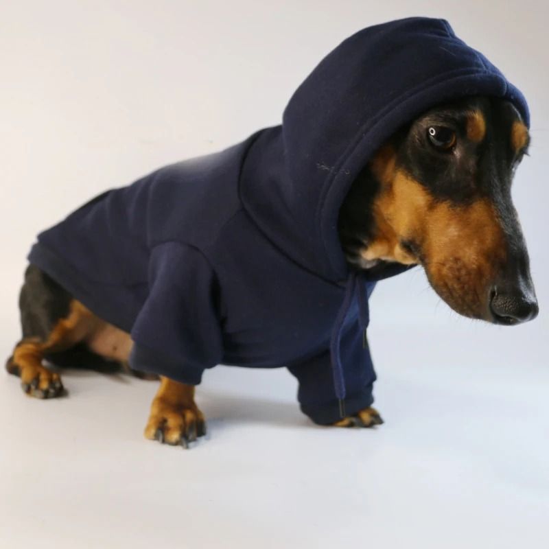 Warm Dachshund Dog Hoodie Pullover For Small Dogs Puppy Winter Clothes And Cozy Costume Wear