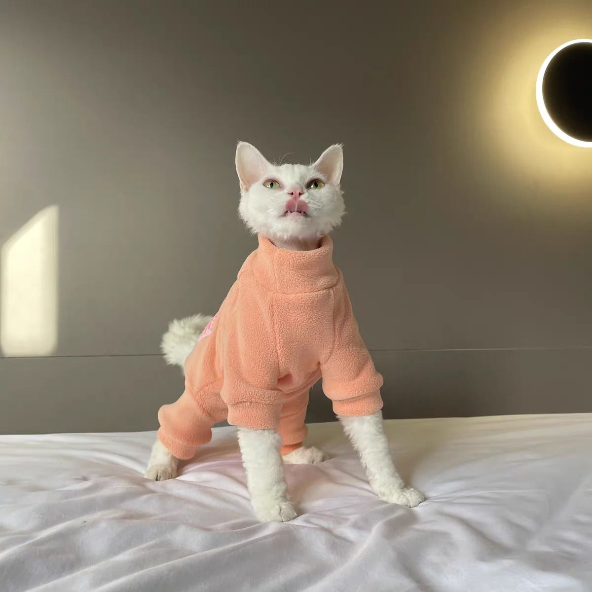 Warm Fleece Sphynx Cat Jumpsuit For Hairless Cats Kittens And Small Dogs