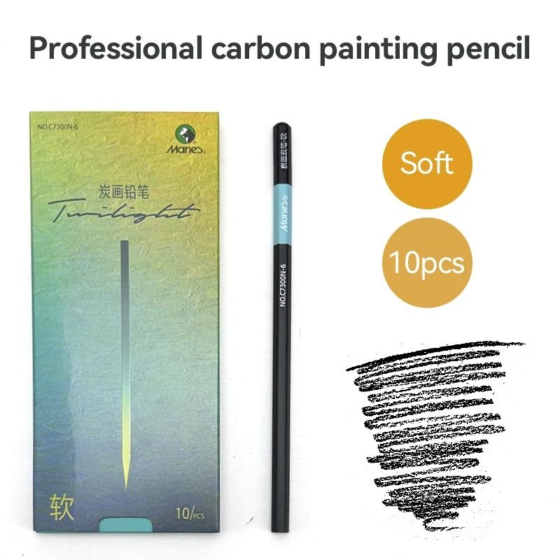 10 PCS Charcoal Graphite Sketch Pencil Set Professional Drawing and Shading Pencils