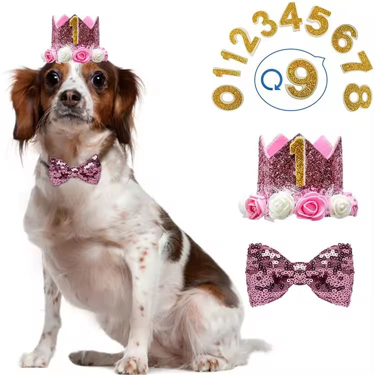 Reusable Pet Birthday Crown & Bow Tie Set Adjustable Dog Birthday Hat for Small/Medium Pets