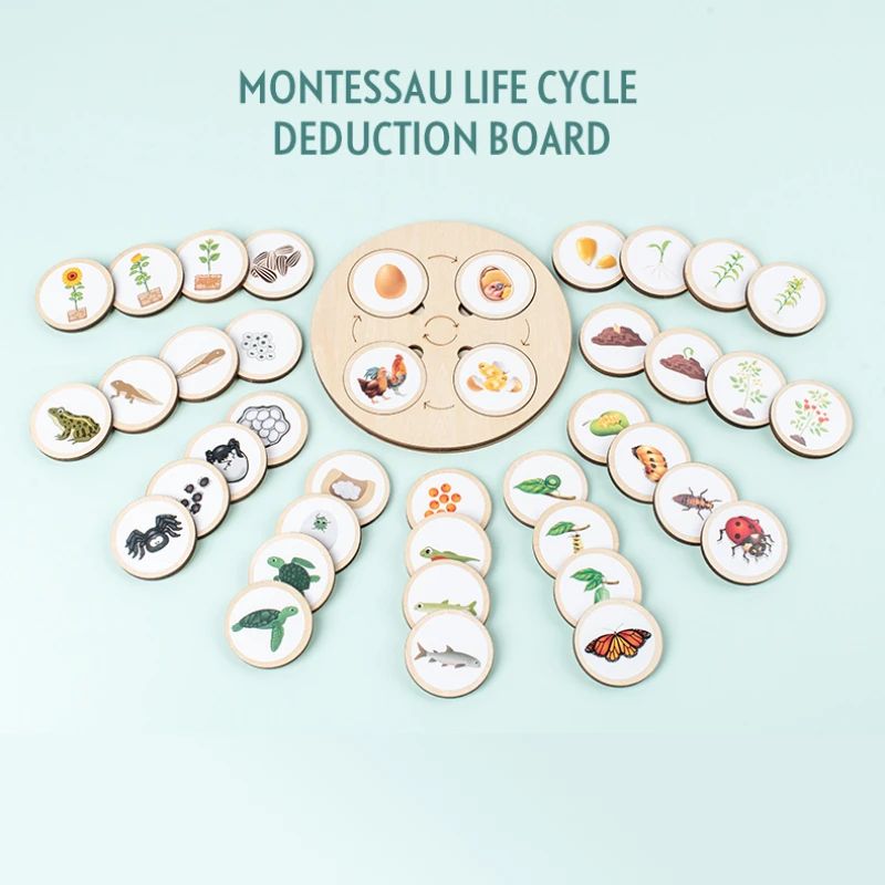 Montessori Life Cycle Board Kit - Wooden Montessori Learning Toy for Biology & Sensory Play