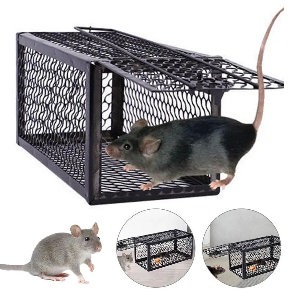 SafeHome Mouse Trap - High-Adhesion Sticky Mouse Board for R | Inspire ...
