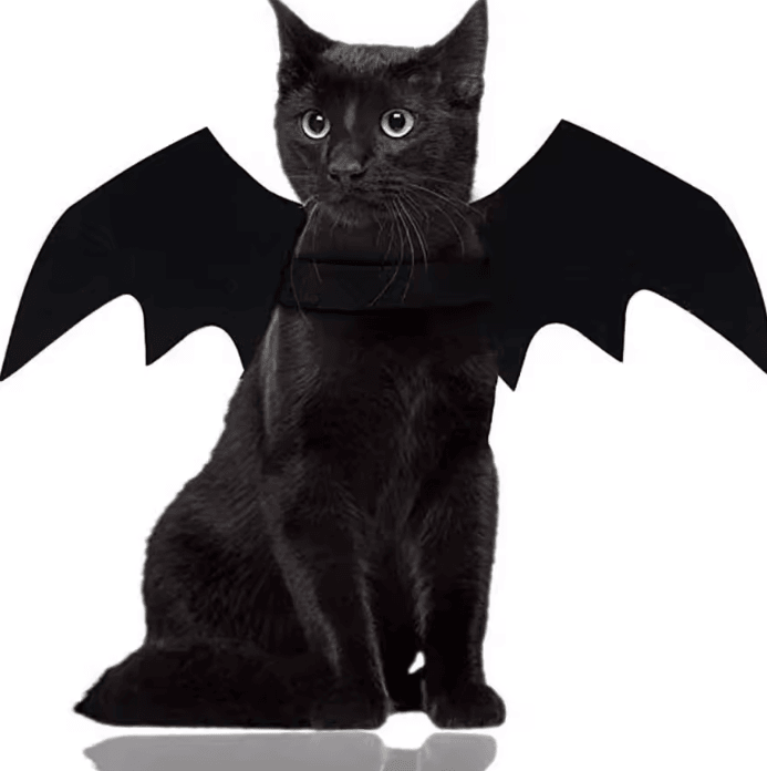 BatCharm Pet Bat Wings Costume - Cute Halloween Cosplay Harness for Cats & Dogs