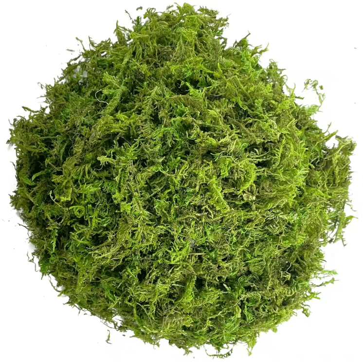 Artificial Green Moss for Potted Plants – Decorative Faux Moss for Orchids & DIY Plant Styling