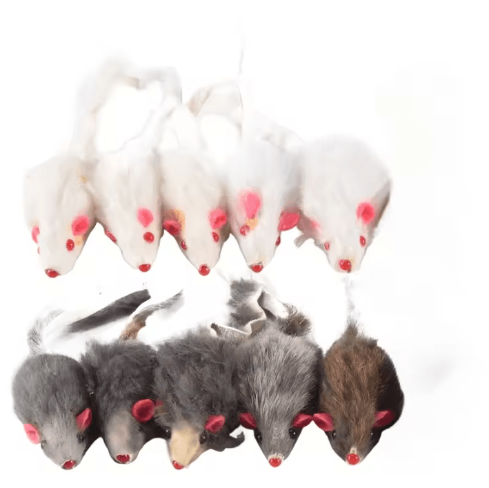 10-Pack Plush Mouse Cat Toys for Interactive Play & Exercise