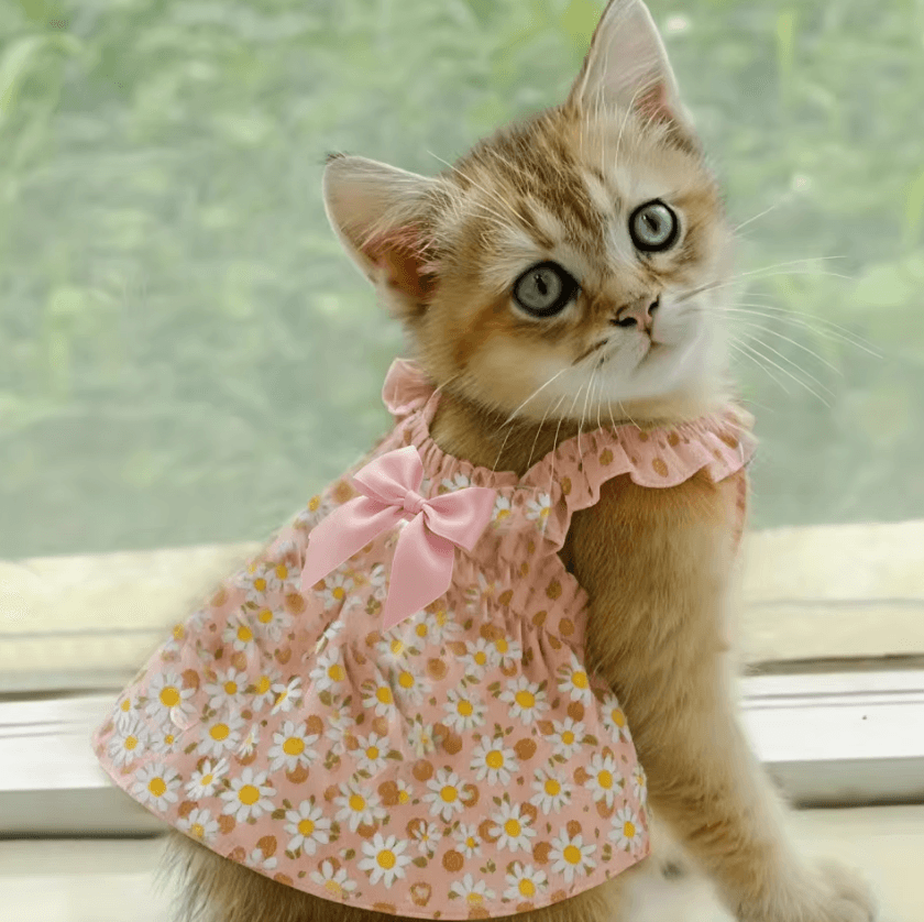 BlossomBelle Floral Summer Pet Dress