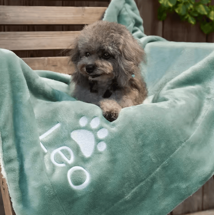 Personalized Dog Name Fleece Blanket with Paw Prints
