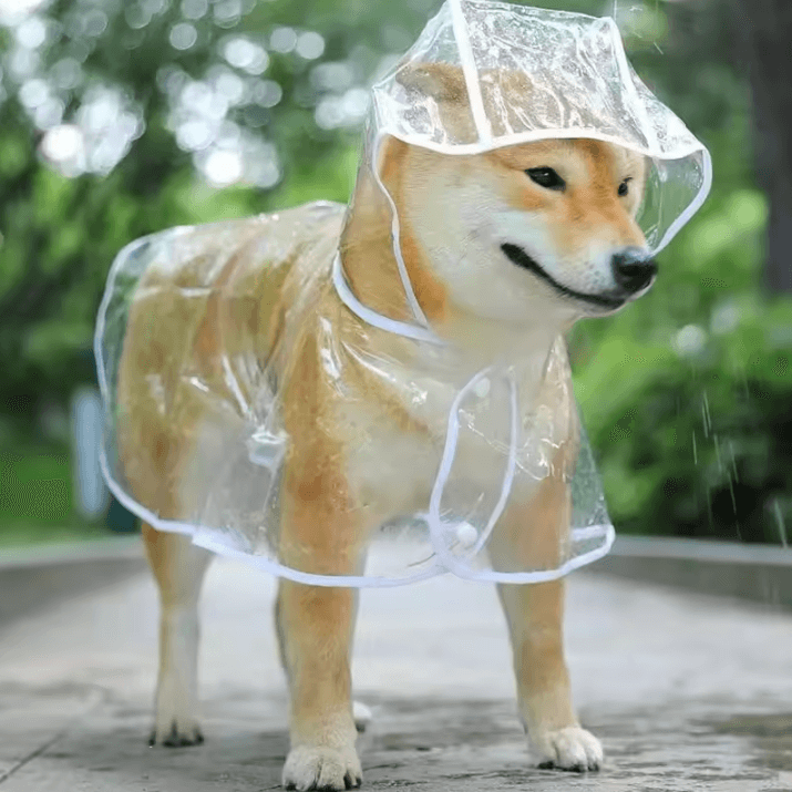 Transparent Hooded Dog Raincoat – Waterproof Pet Rainwear Jacket for Small Dogs & Puppies