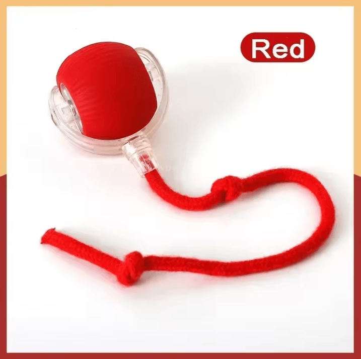 Rechargeable Interactive Pet Ball Toy - Automatic Rolling Cat Ball & Rechargeable Electric Dog Toy with Smart Motion