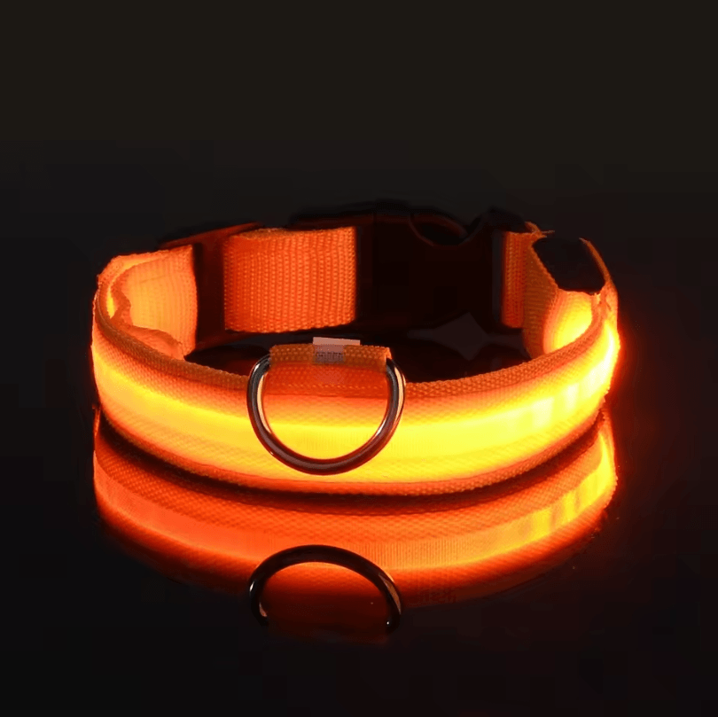 Nylon Luminous Dog Leash and Glow In The Dark Dog Collar – LED Safety Pet Leash for Night Walking