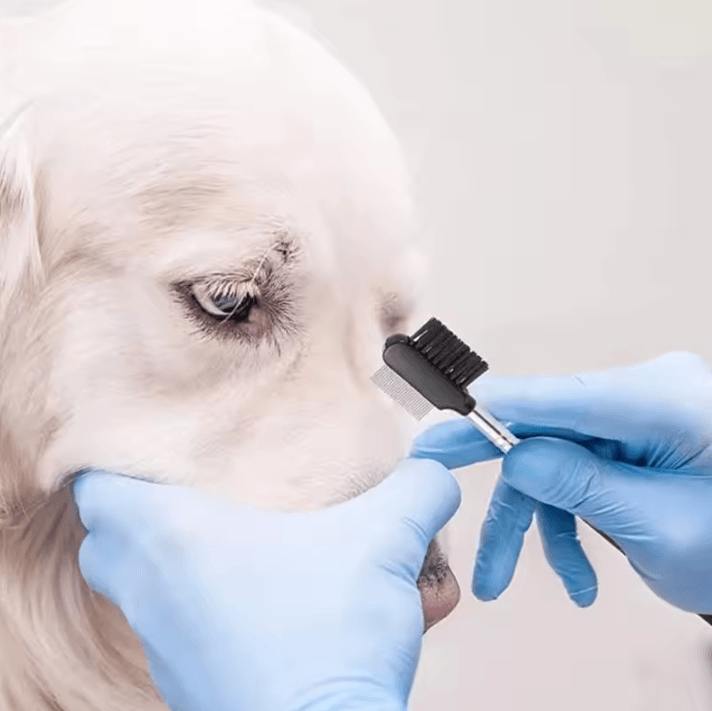Pet Eye Comb Brush for Cats & Dogs – Double-Sided Tear Stain Remover Grooming Tool for Eye Crust & Mucus