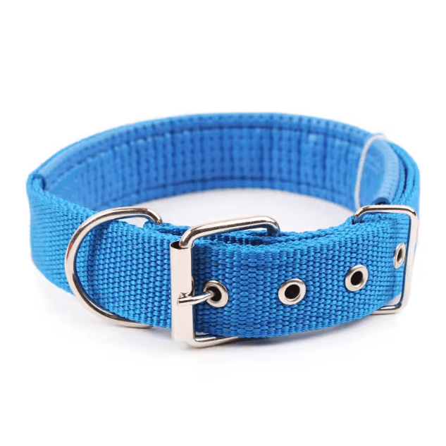 Solid Nylon Dog Collar - Adjustable Collar for Small, Medium & Large Dogs