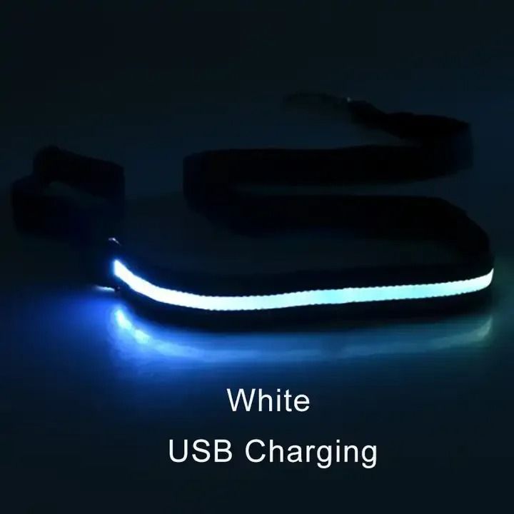 LED Light Up Dog Leash Night Safety Luminous Flashing Glowing Traction Rope Lead