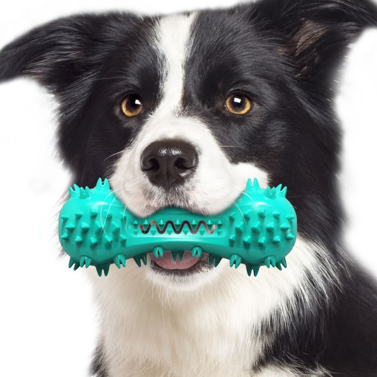 Squeaky Dog Toothbrush Chew Toy Dental Molar Stick for Medium Large Dogs