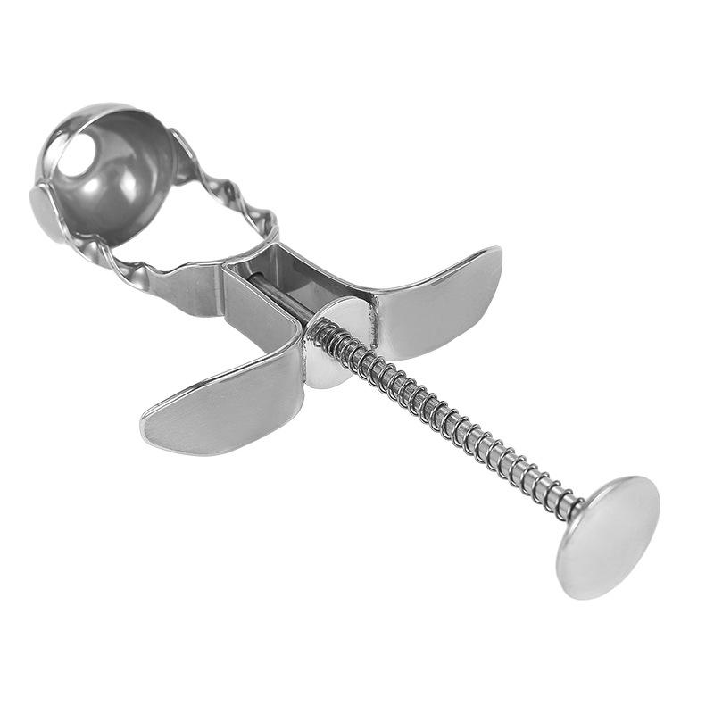 Stainless Steel Cherry Pitter & Red Date Corer for Jujube, Olive and Small Fruits