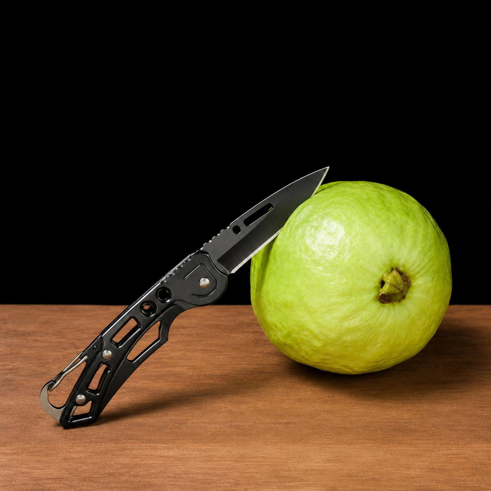 Stainless Steel Mini Pocket Knife with Keychain Carabiner for EDC
