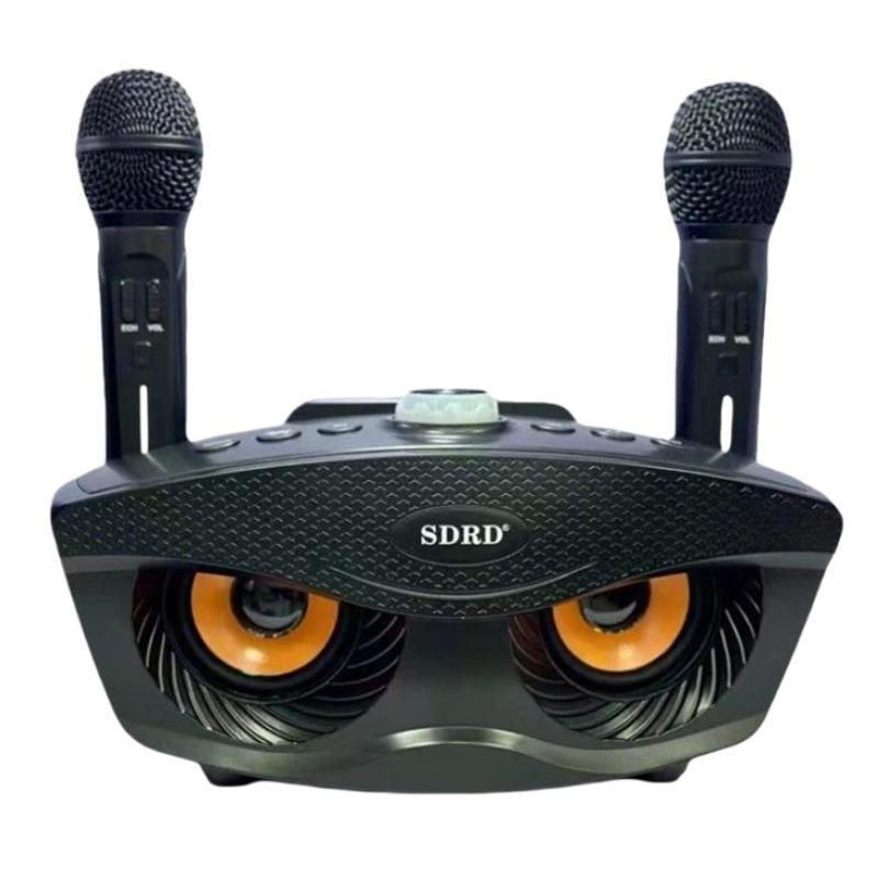 Portable Karaoke Machine with Dual Wireless Microphones and Bluetooth Speaker